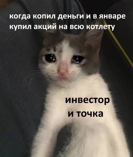 Мемы про биржу на этой неделе
